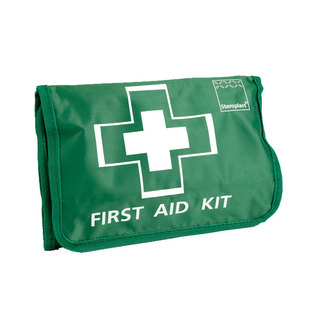 40 Piece Home/Car First Aid Kit In Green Roll Bag