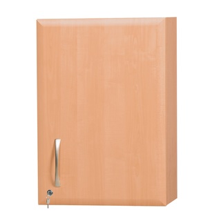 Single Wall-Mounted Dressing Cabinet