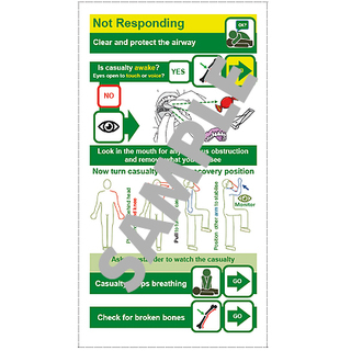 The citizenAID Pocket Guide - Revised and Enhanced 2019