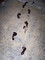 Bloody Footprints - Set of 8 thumbnail