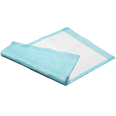 Disposable Incontinence Pads