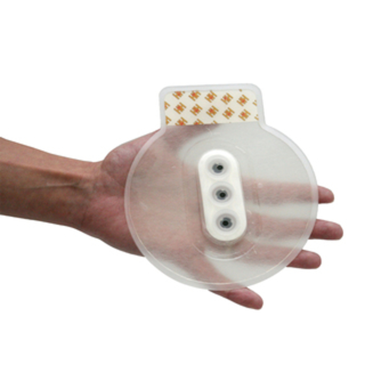 IN915(2).jpg IN915(2).jpg