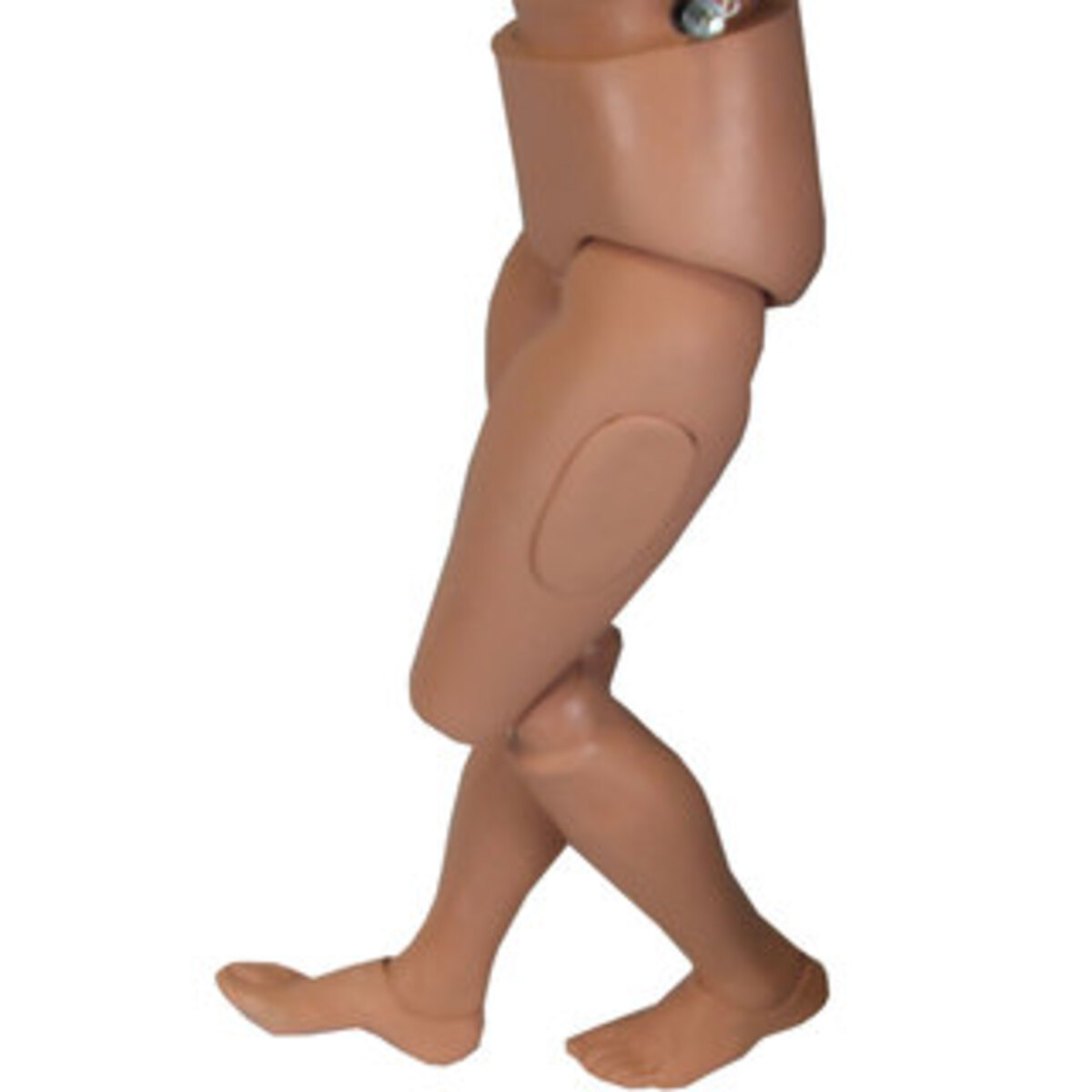 ZZ9801(2).jpg ZZ9801(2).jpg